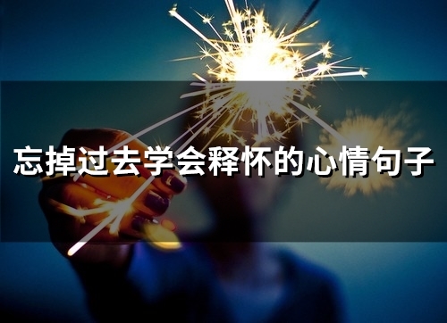 忘掉过去学会释怀的心情句子(精选52句)