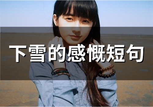 下雪的感慨短句(54句) 下雪的感慨短句(54句)