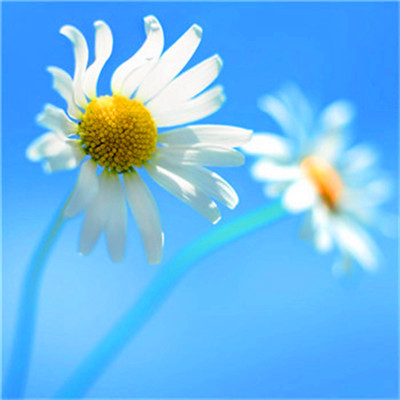 2023一生好运的女人微信头像