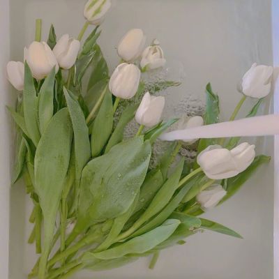 微信头像2023独一无二女(精选16张)