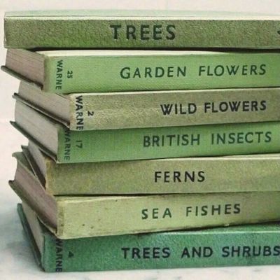 微信头像2023独一无二女(精选16张)