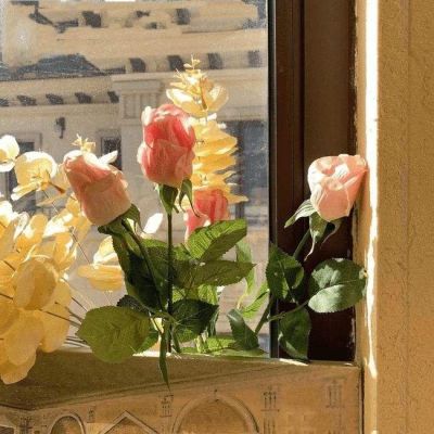 微信头像2023独一无二女(精选16张)