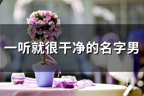 一听就很干净的名字男(精选49个)