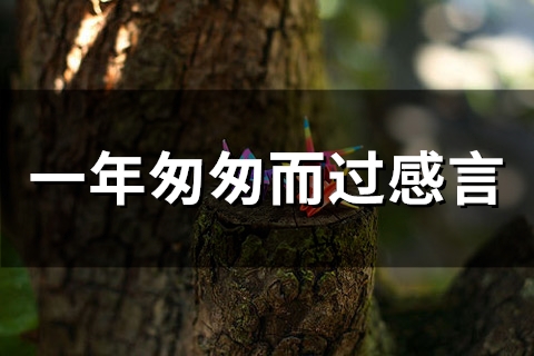 一年匆匆而过感言(精选49句)