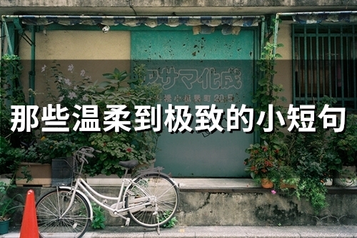 那些温柔到极致的小短句(55句)