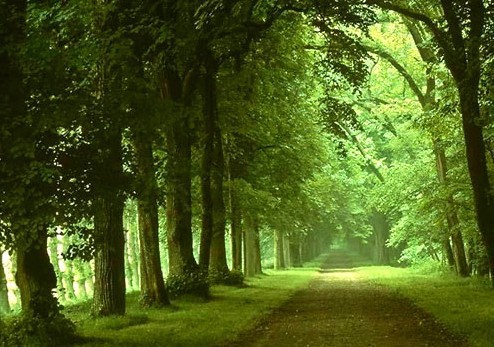 大气有格局的微信名(59个)