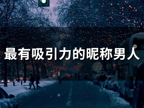 最有吸引力的昵称男人(精选491个)