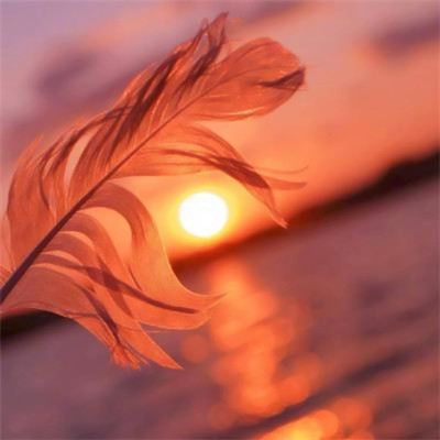 2023微信头像图片新款女(24张)