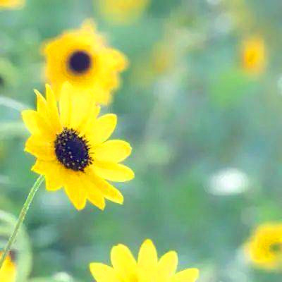 2023微信头像图片新款女(24张)