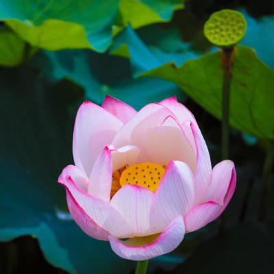 好看的80后头像图片(26张)