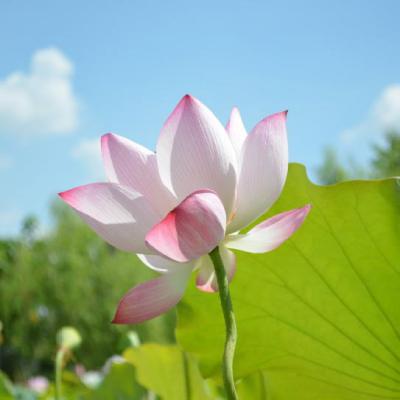 好看的80后头像图片(26张)