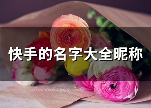 快手的名字大全昵称(331个)