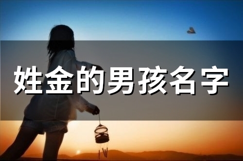 姓金的男孩名字(25个)