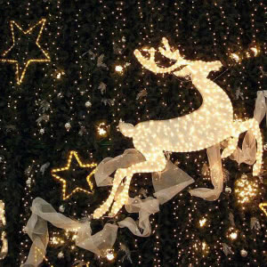 意境有档次的微信头像高清(精选26张)