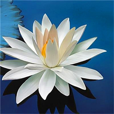 2023年最火风景的头像(精选24张)