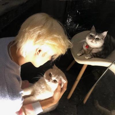 帅气霸气的男生头像 好看的头像男生帅气冷酷霸气