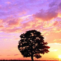 70后妈妈微信头像(16张)