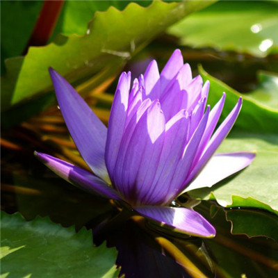 70后妈妈微信头像(16张)