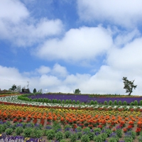 70后妈妈微信头像(16张)