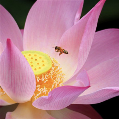 70后妈妈微信头像(16张)