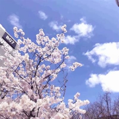 抖音图片最火头像风景(精选34张)