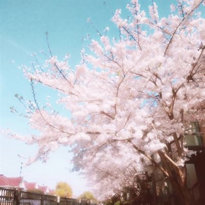 抖音图片最火头像风景(精选34张)