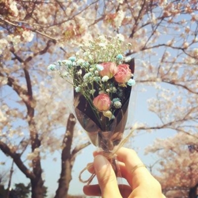 抖音图片最火头像风景(精选34张)