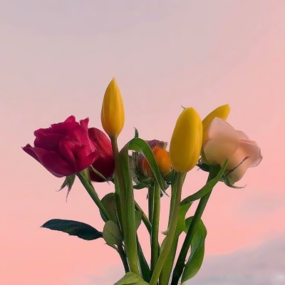 抖音图片最火头像风景(精选34张)