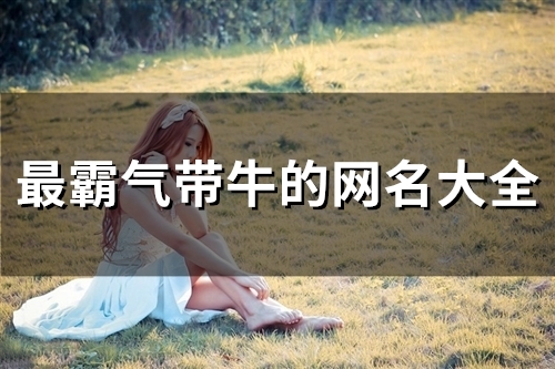 最霸气带牛的网名大全(精选75个)