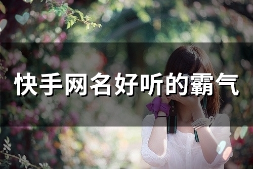 快手网名好听的霸气(157个)