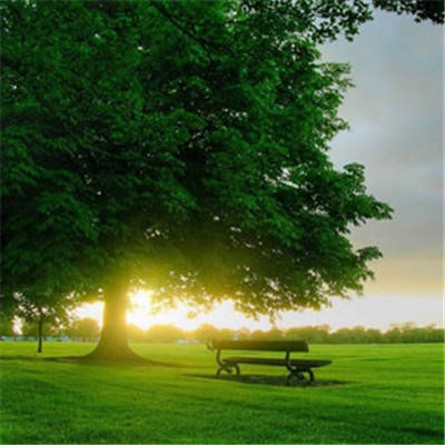 风水上最好的微信头像有哪些(精选16张)