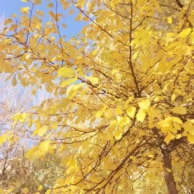 值得一辈子不换的头像2023(精选28张)