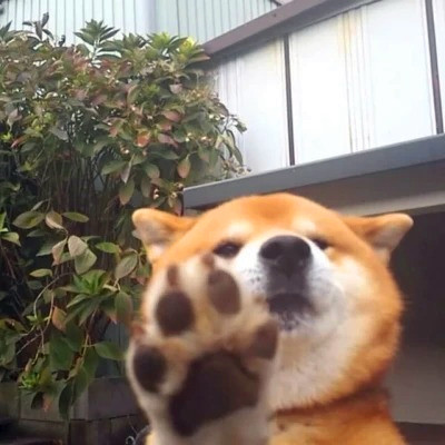 2023最火爆的恶搞头像(精选12张)