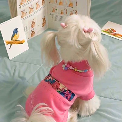 2023最火动物头像图片(精选24张)