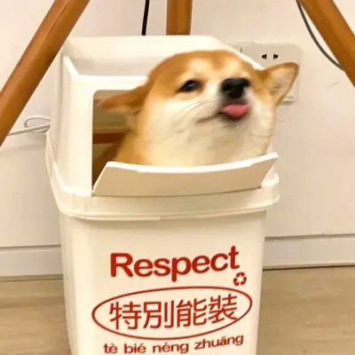 2023最火动物头像图片(精选24张)