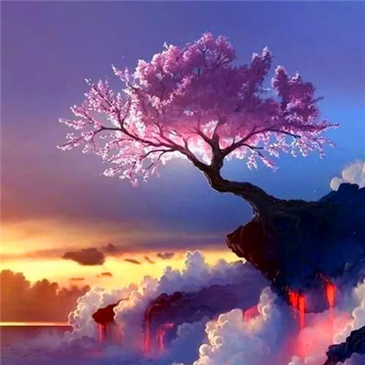 2023最火老年头像(精选16张)