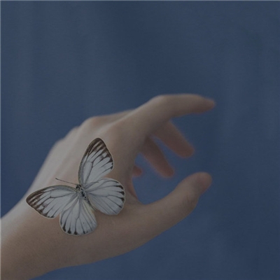 微信最美的头像图片简单漂亮(24张)