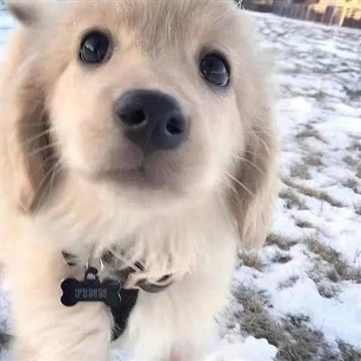 适合做微信头像的图片唯美(精选24张)