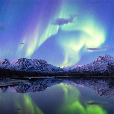 微信头像80后女人专用景物(16张)