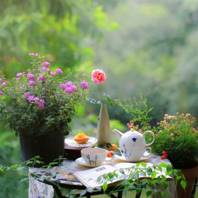 微信头像80后女人专用景物(16张)