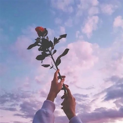 2023年最漂亮的头像(32张)