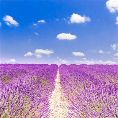 2023快手最火的头像(16张)