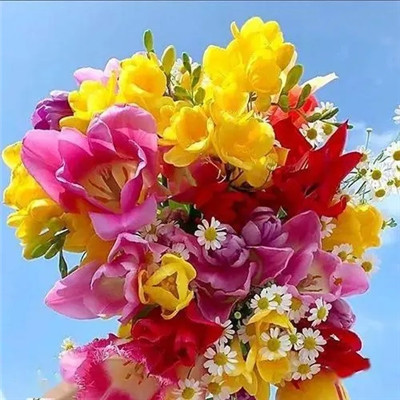 2023快手最火的头像(16张)