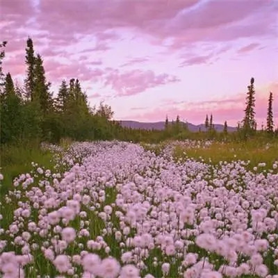 2023最个性火微信头像(16张)