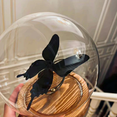 2023最流行的壁纸头像(精选22张)