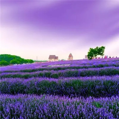 2023年微信最火的头像(精选28张)