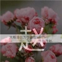 2023最火的赵姓头像(精选14张)