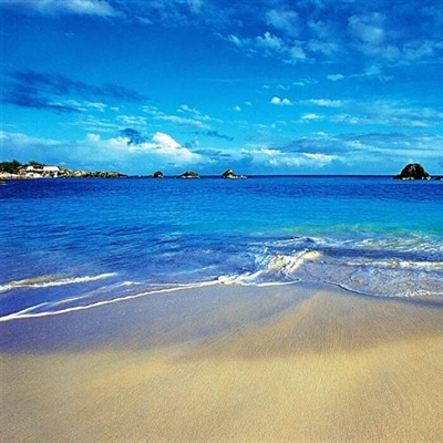 2023年现在最火的头像(精选24张)