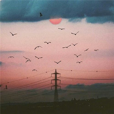 2023最吉利的男头像(24张)