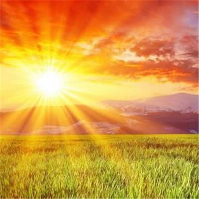 2023带好运最火头像(精选22张)